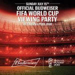 FIFA PARTY WEB sq rz