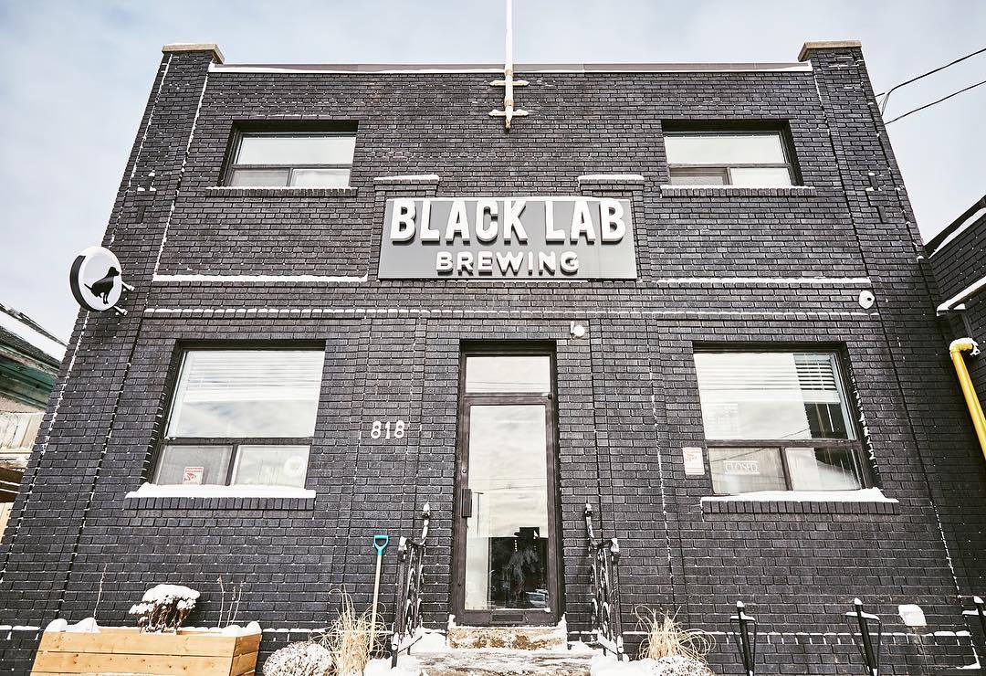 Black Lab brewing