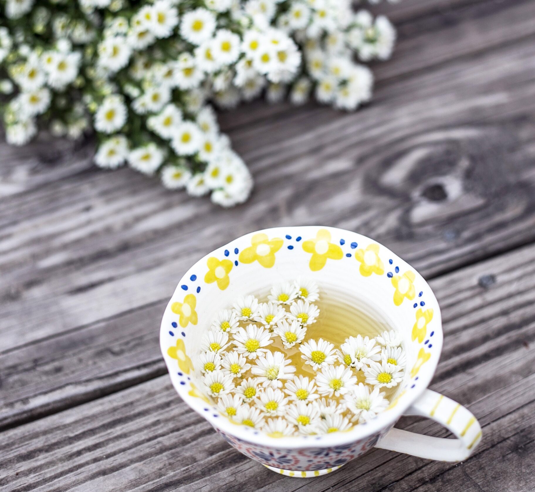 Chamomile