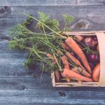 markus spiske 139525 unsplash