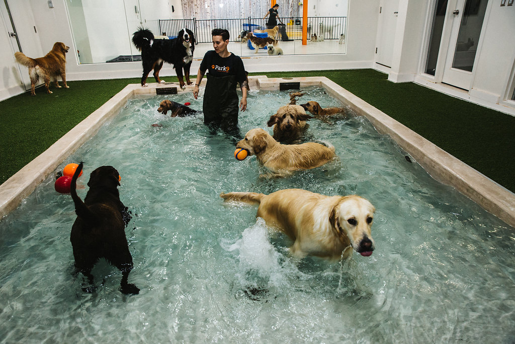 160613 Park9 Airport 5405