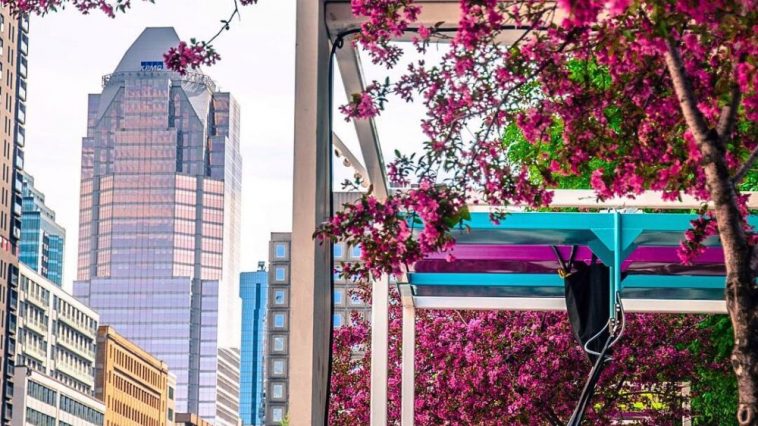 31920796 1696523610402680 1302118197339619328 n e1555351429693