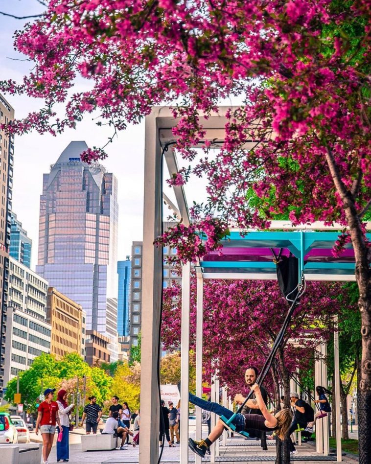 31920796 1696523610402680 1302118197339619328 n e1555351429693