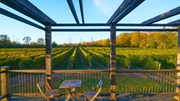 tasting room deck e1555303175362