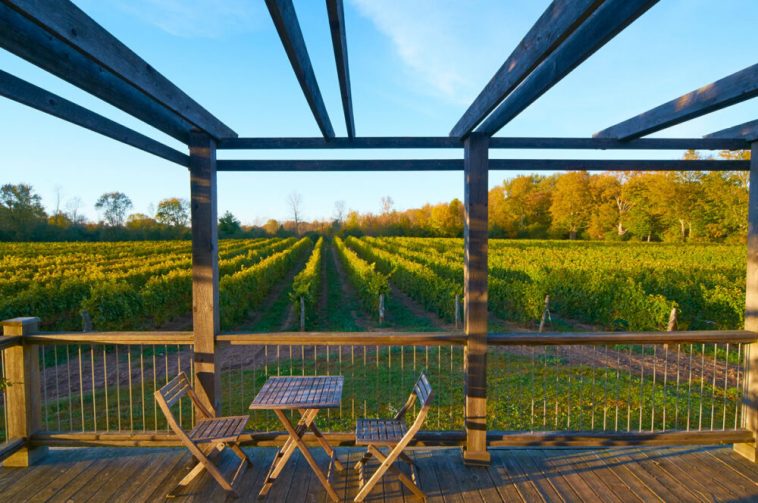 tasting room deck e1555303175362