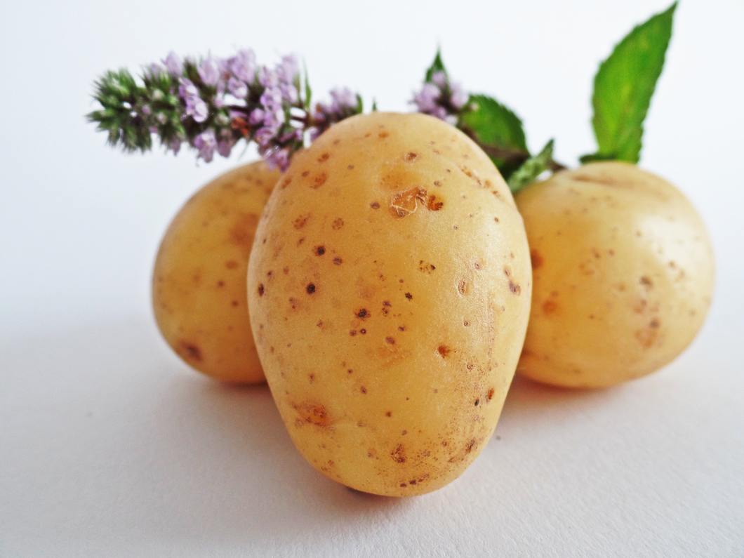 Potato. Source Pexels.