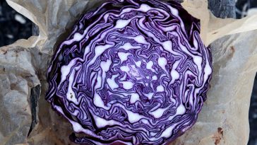 matilda bellman VGCYoDQWQ70 unsplash