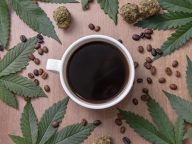 AdobeStock 257311027