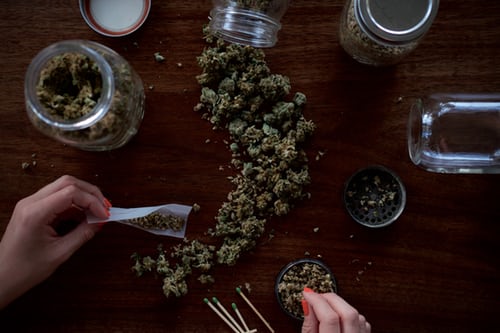 Cannabis Tempura