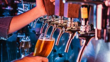 serenitygroup seotool 20133 5ofthe image1