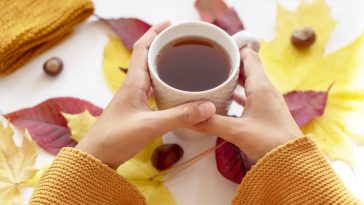 autumn tea time cosy knitted warm t20 bxJNkB