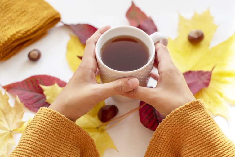 autumn tea time cosy knitted warm t20 bxJNkB