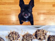 peanut butter t20 7JdVd4