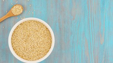 quinoa seed bright blue grain close macro up background raw food ingredient cereal crop dry health t20 1QExog
