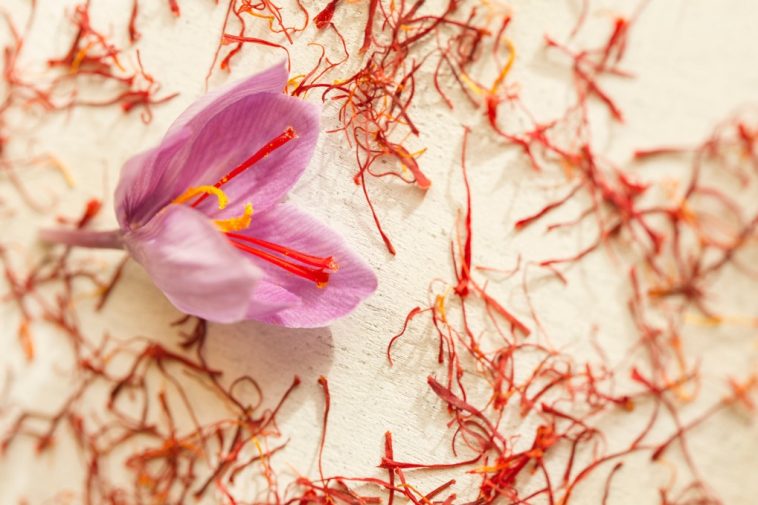 saffron flower