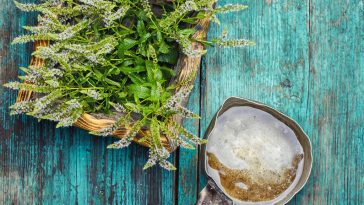 save water sustainable life