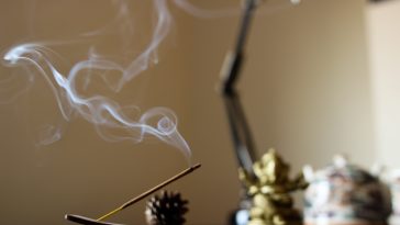 denis oliveira 12PwFpWZZ0 unsplash