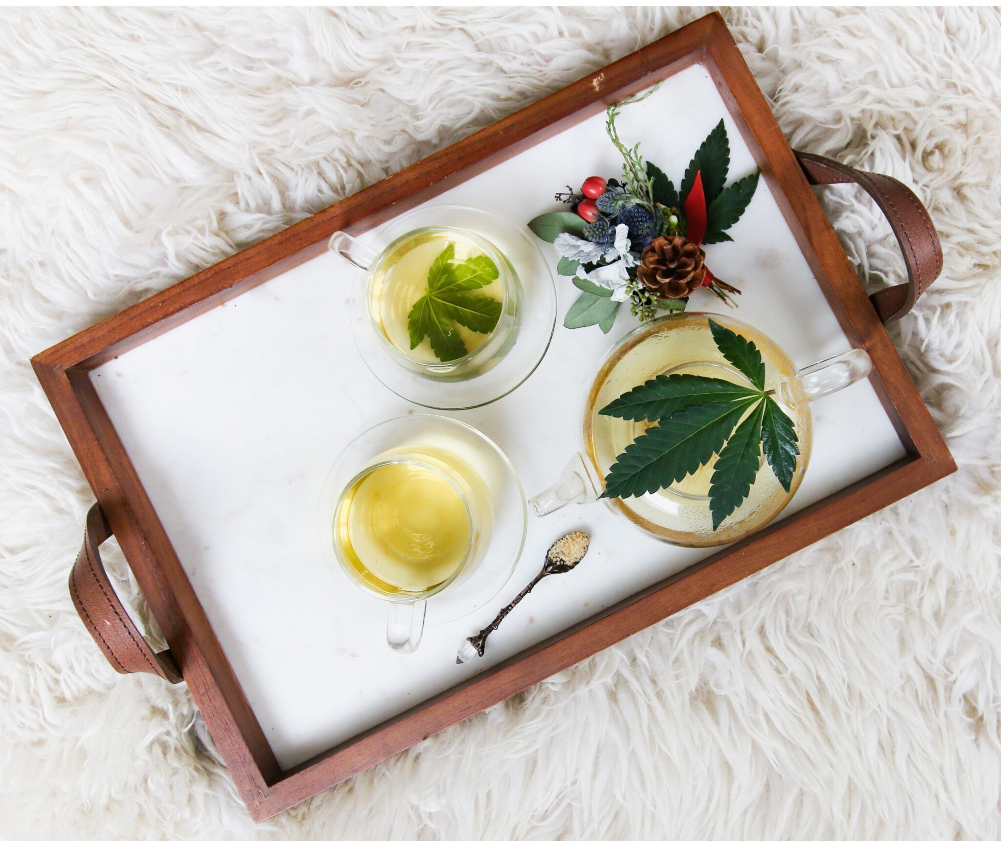 cannabis kimzy nanney qgIg42OxbwI unsplash