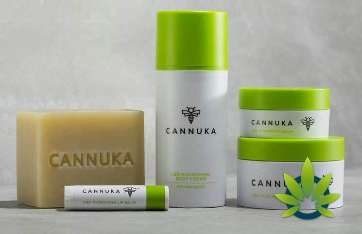 timesofcbd.com timesofcbd.com