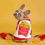 safe foods for your dog