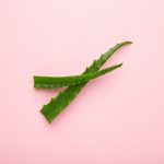 Aloe Vera has anti-inflammatory properties that aid in soothing skin rashes. Also, it is known to have antimicrobial abilities that may aid in preventing infections.
