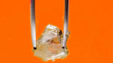 Cannabis Concentrates